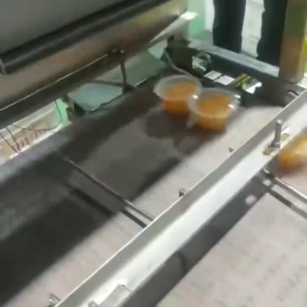 Sealed fruit cups passing the AI seal inspection camera