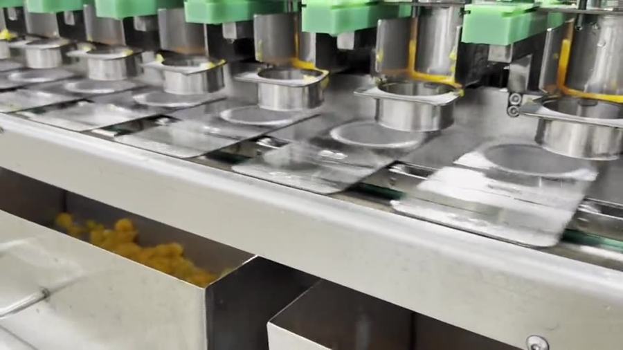 Multi-lane cup filler filling mandarin segments